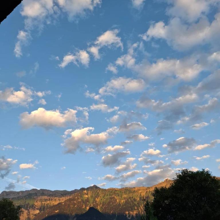 Aare and mountains near Interlaken - Maison 1 Chambre - 2