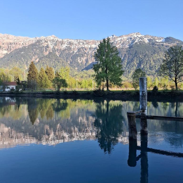 Aare and mountains near Interlaken - Maison 1 Chambre - 3