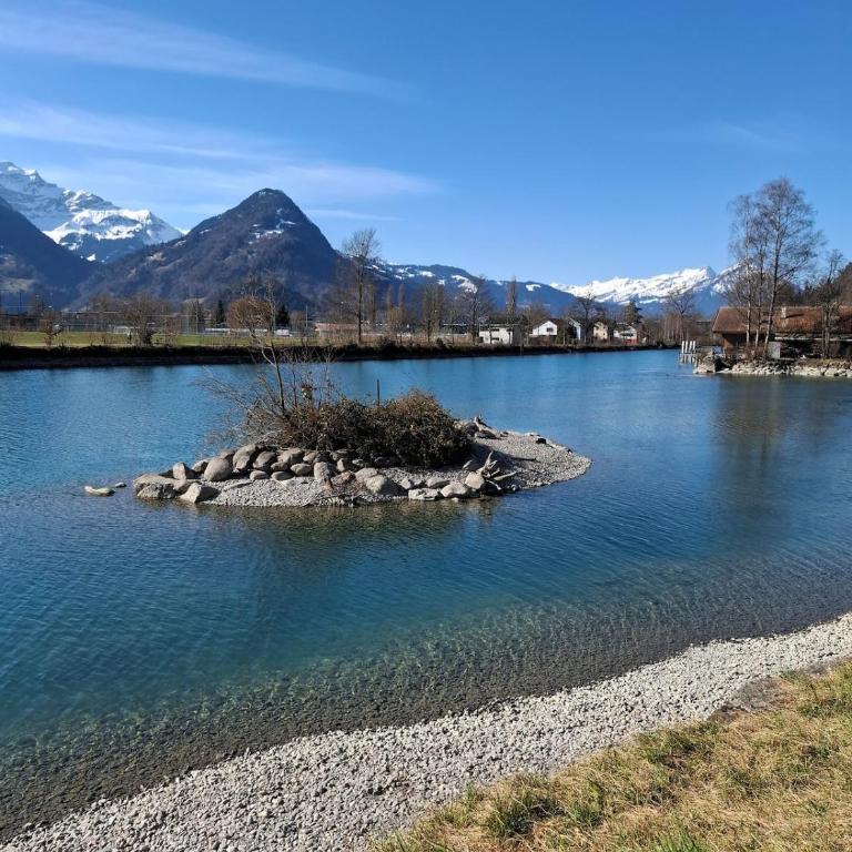 Aare and mountains near Interlaken - Maison 1 Chambre - 9