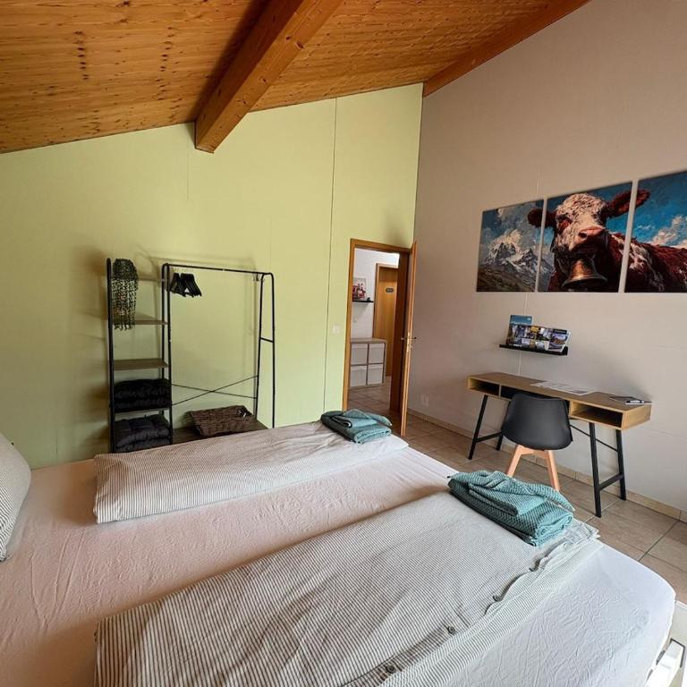 Aare and mountains near Interlaken - Maison 1 Chambre - 12