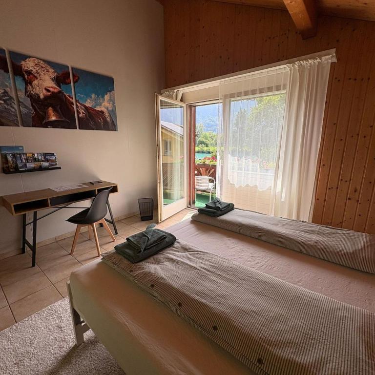 Aare and mountains near Interlaken - Maison 1 Chambre - 13
