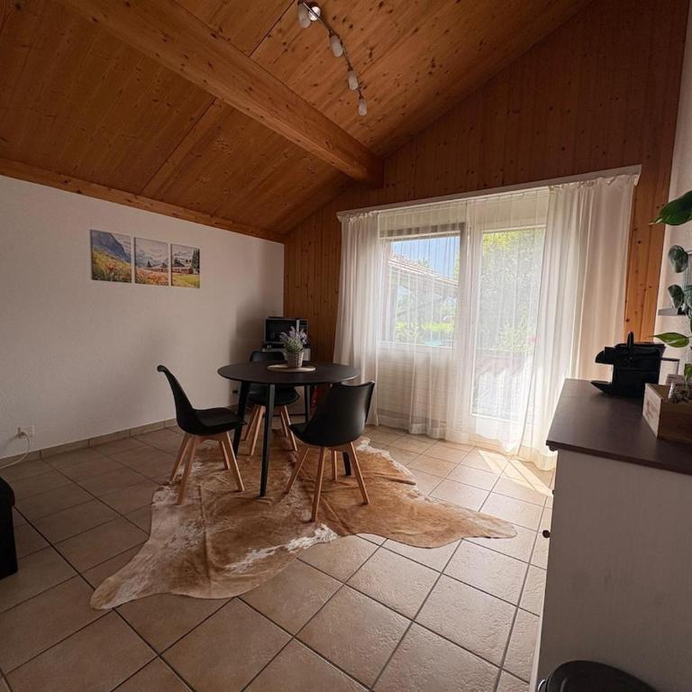 Aare and mountains near Interlaken - Maison 1 Chambre - 15