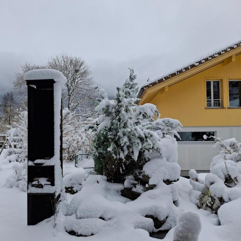 Aare and mountains near Interlaken - Maison 1 Chambre - 21