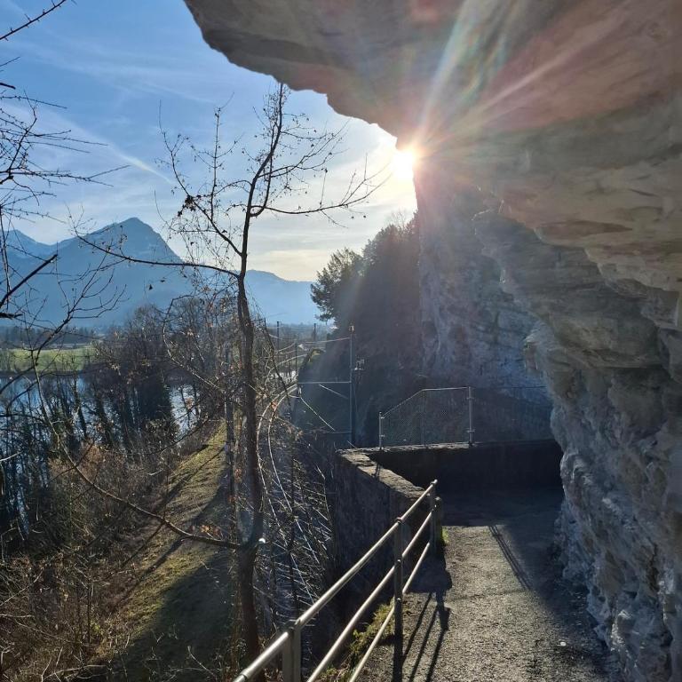 Aare and mountains near Interlaken - Maison 1 Chambre - 22