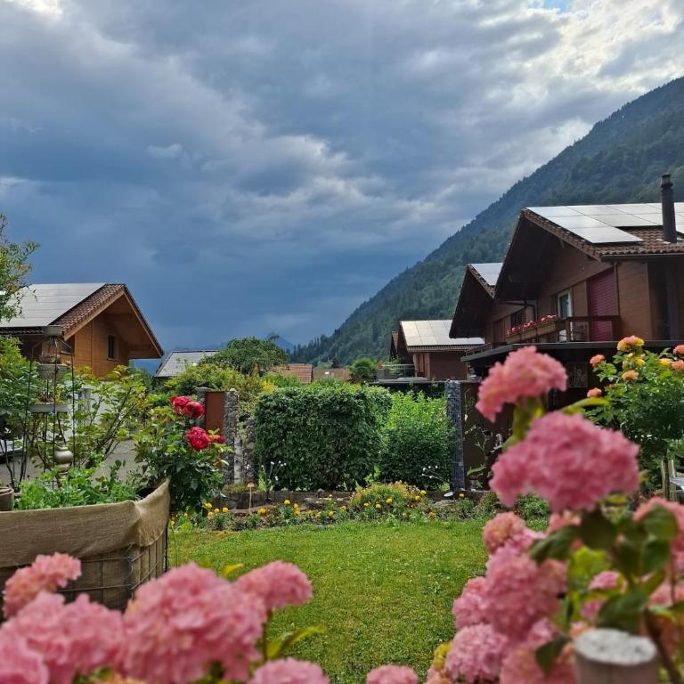 Aare and mountains near Interlaken - Maison 1 Chambre - 28