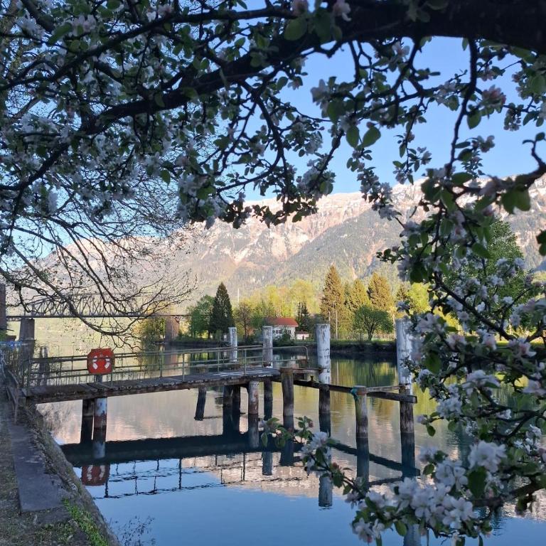 Aare and mountains near Interlaken - Maison 1 Chambre - 31