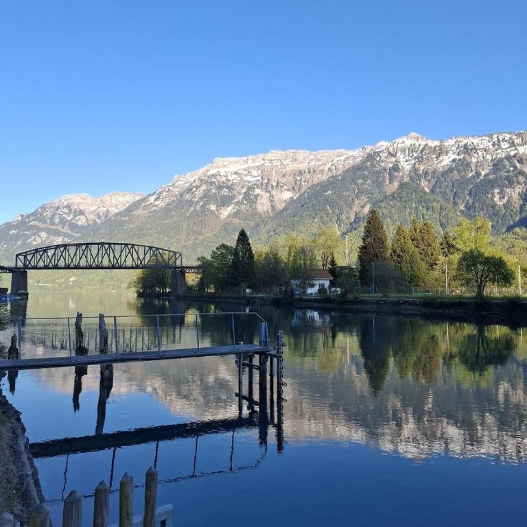 Aare and mountains near Interlaken - Maison 1 Chambre - 33