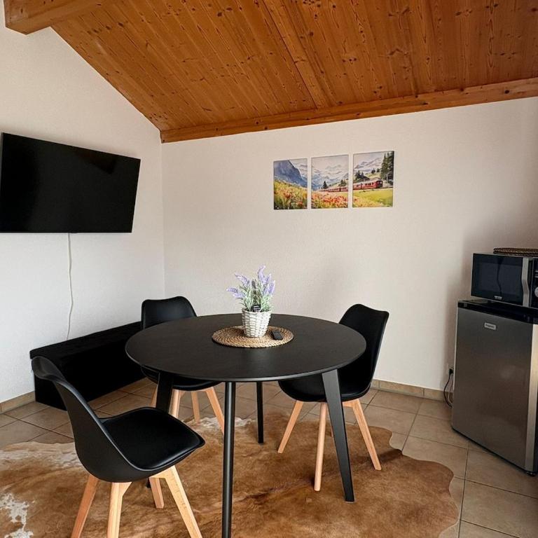 Aare and mountains near Interlaken - Maison 1 Chambre - 34