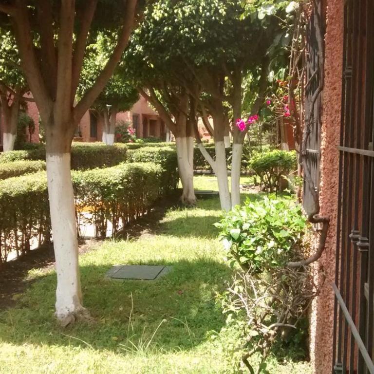 Lindo depa 3 recámaras, tres baños, estacionamiento y vigilancia - Apartamento de 3 dormitorios - 19