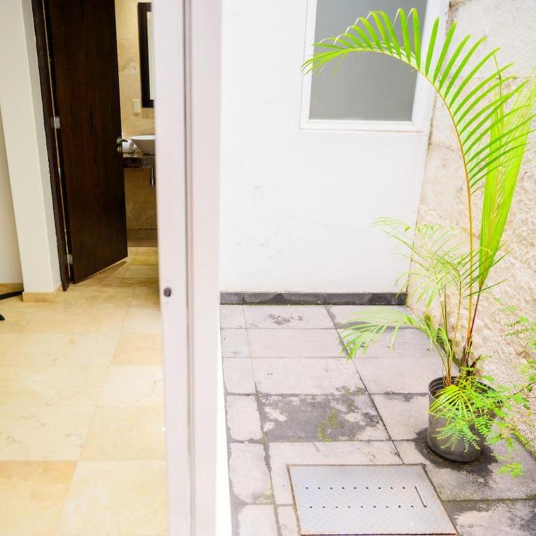 Condesa Residence Amsterdam 102 Stylish 1 bed1 Bath on Amsterdam Av - Apartment - 30