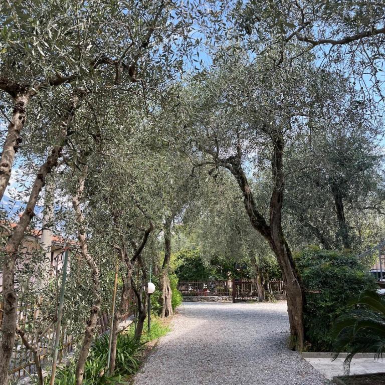 4-person apartment Malcesine Francesca - Appartamento con 2 Camere da Letto - 8