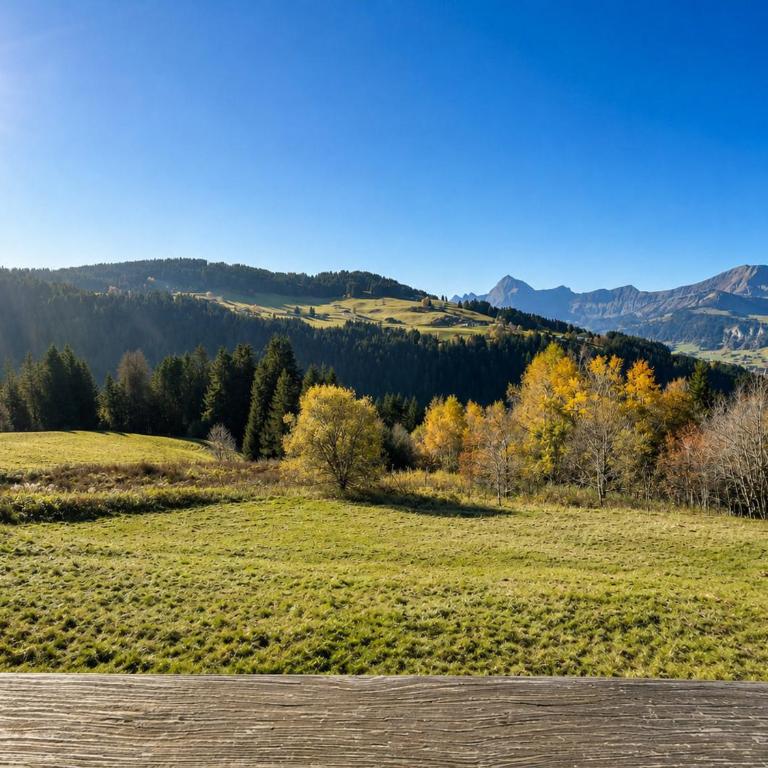 Mazot savoyard, animaux acceptés - 6 pers. - Appartement 2 Chambres - 14