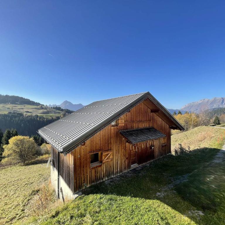Mazot savoyard, animaux acceptés - 6 pers. - Appartement 2 Chambres - 17