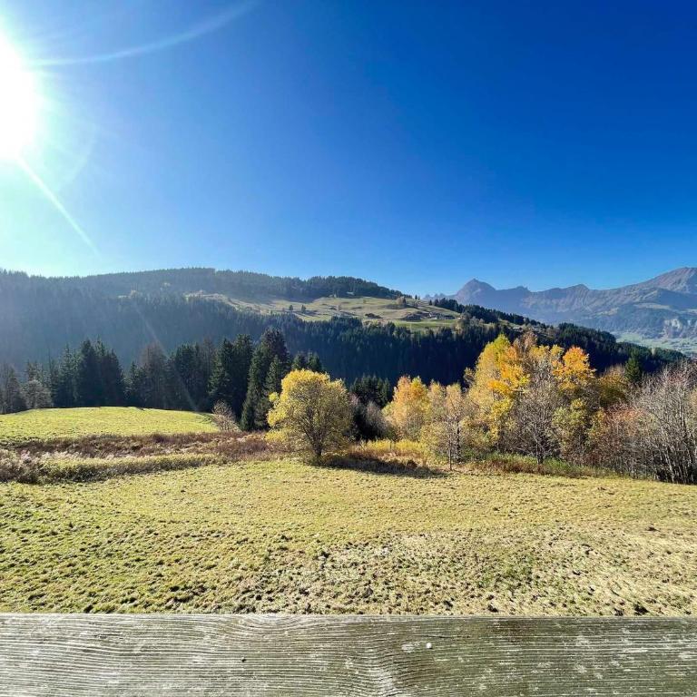 Mazot savoyard, animaux acceptés - 6 pers. - Appartement 2 Chambres - 21