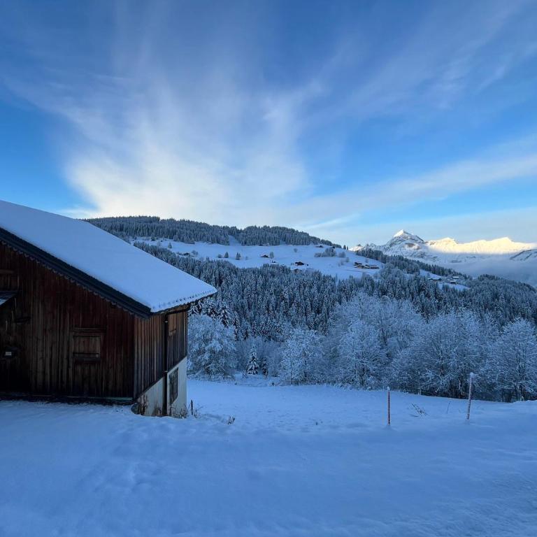 Mazot savoyard, animaux acceptés - 6 pers. - Appartement 2 Chambres - 23