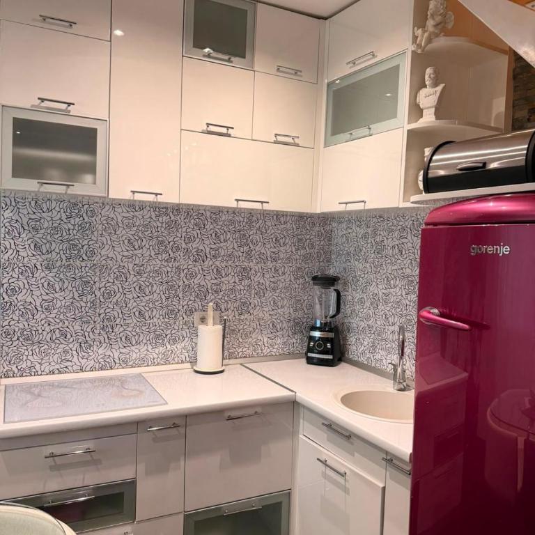 Fantasia - Vračar - Apartman sa 2 Spavaće Sobe - 9