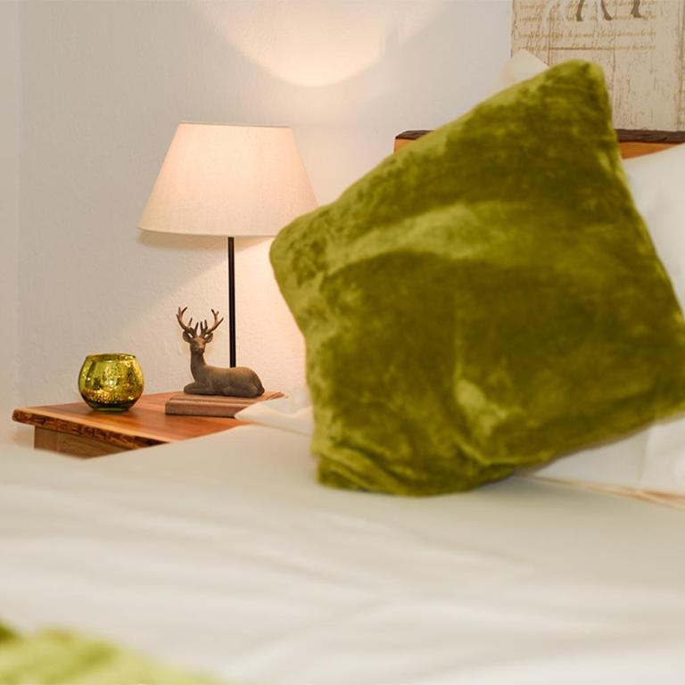 Ferienwohnung Alpenblick - Appartement avec Vue sur la Montagne - 20
