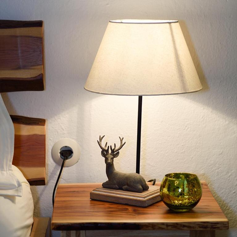 Ferienwohnung Alpenblick - Appartement avec Vue sur la Montagne - 21