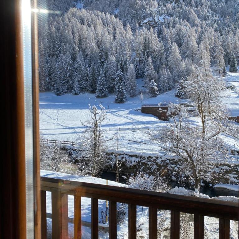 Casa della scultrice - Appartamento con 1 Camera da Letto - 3