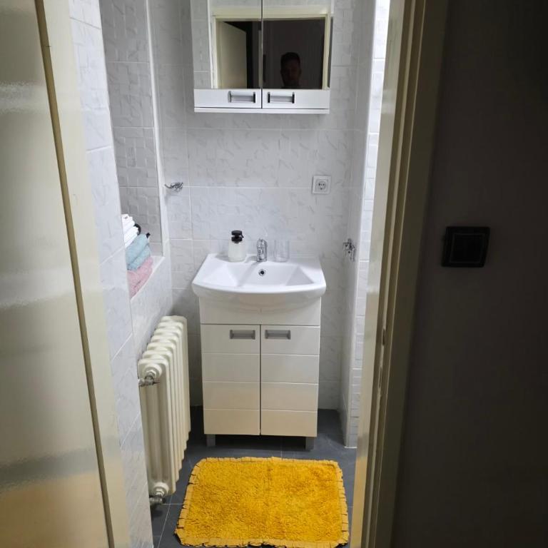 Guesthouse Banjac - Apartman sa 1 Spavaćom Sobom - 2