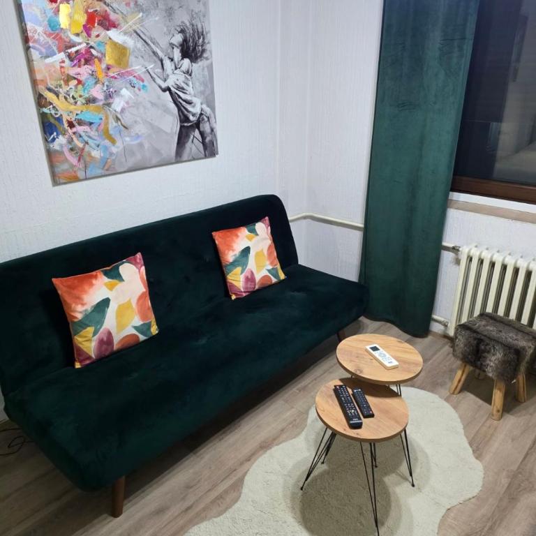 Guesthouse Banjac - Apartman sa 1 Spavaćom Sobom - 1