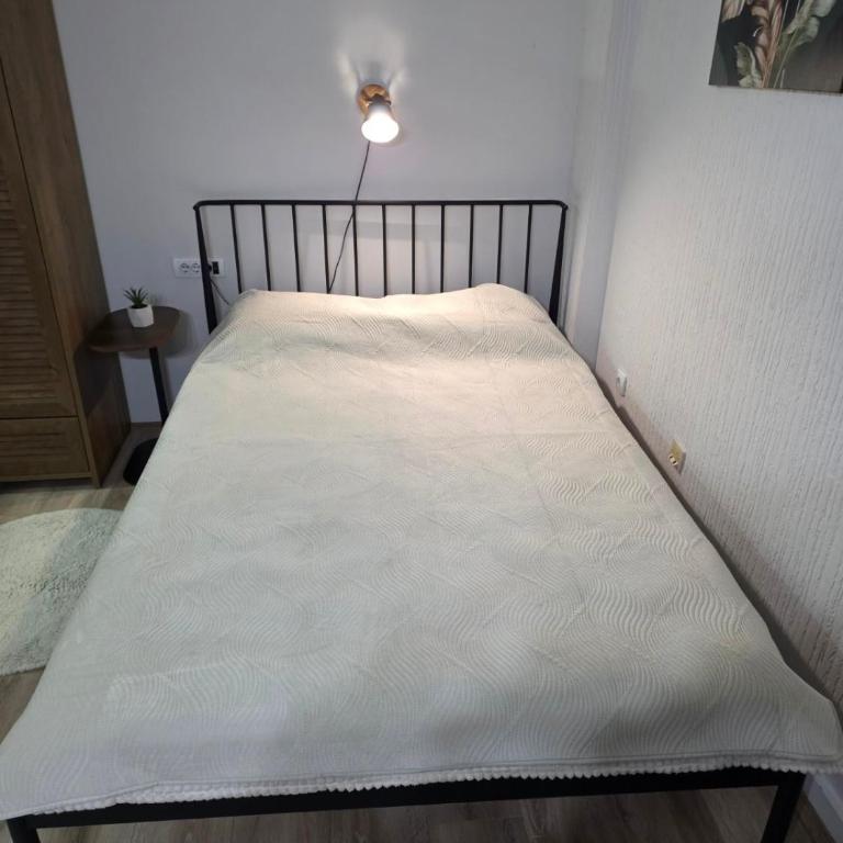 Guesthouse Banjac - Apartman sa 1 Spavaćom Sobom - 4