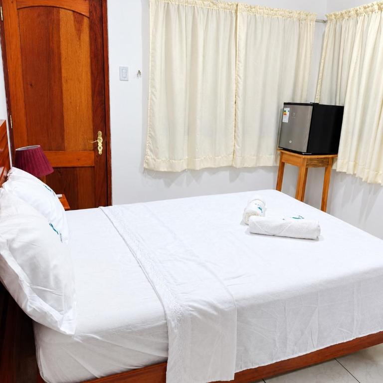 Marje Vögeli Hostal Iquitos Peru - Double Room - 3