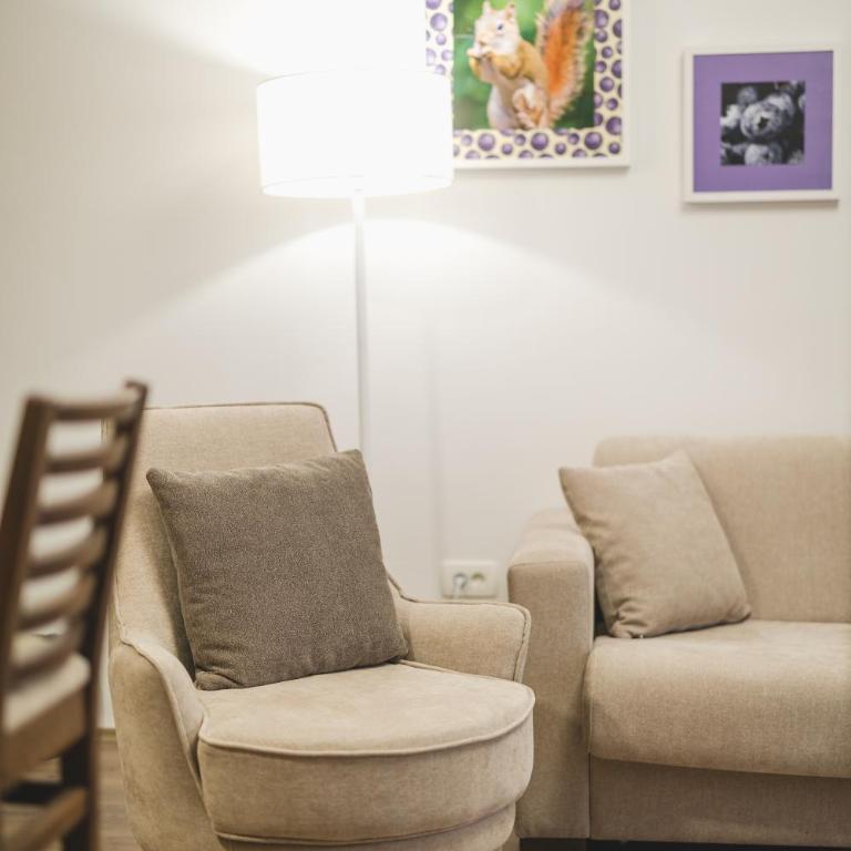Borovnica Sweet Apartments - Apartman - 8