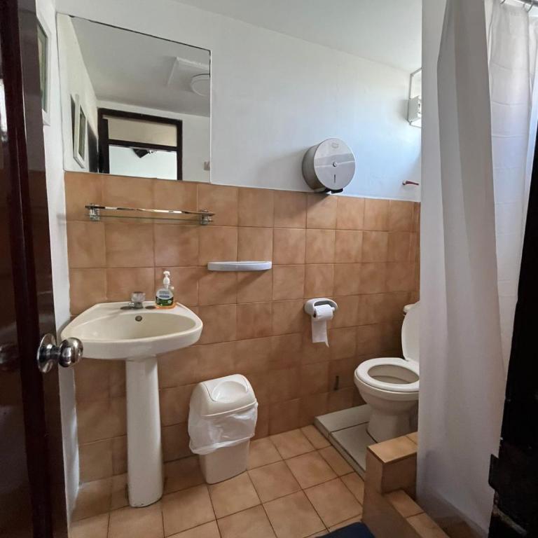 Miraflores B&B by Haku - Bed in 8-Bed Mixed Dormitory Room - 3