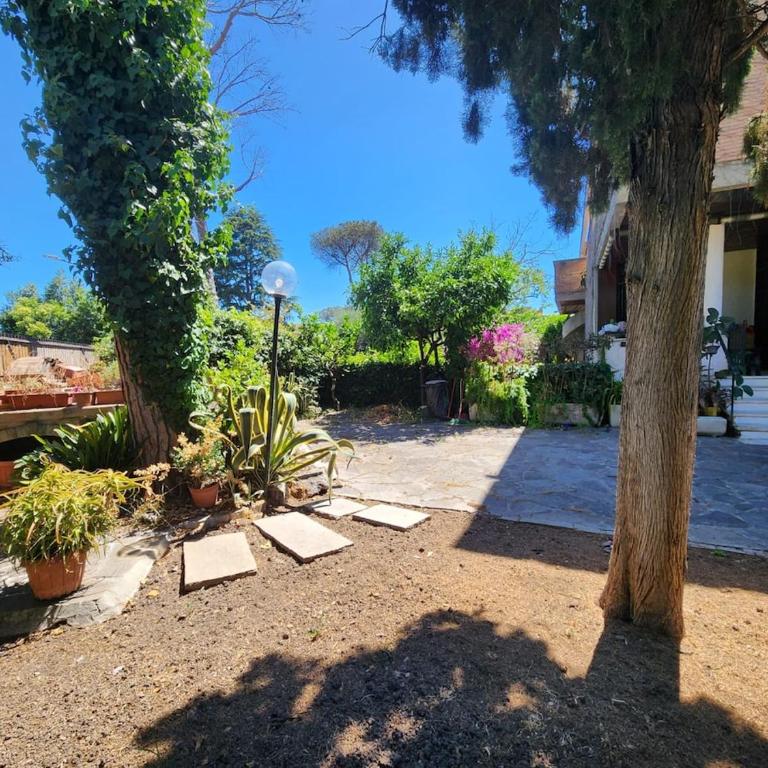 Villa Noemi - Villa - 69