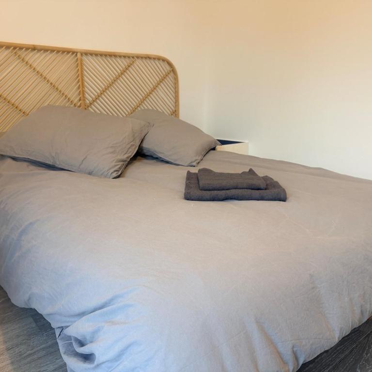 METZ Sleeps 5, balcony, 1 parking space, elevator - Appartement 1 Chambre - 4