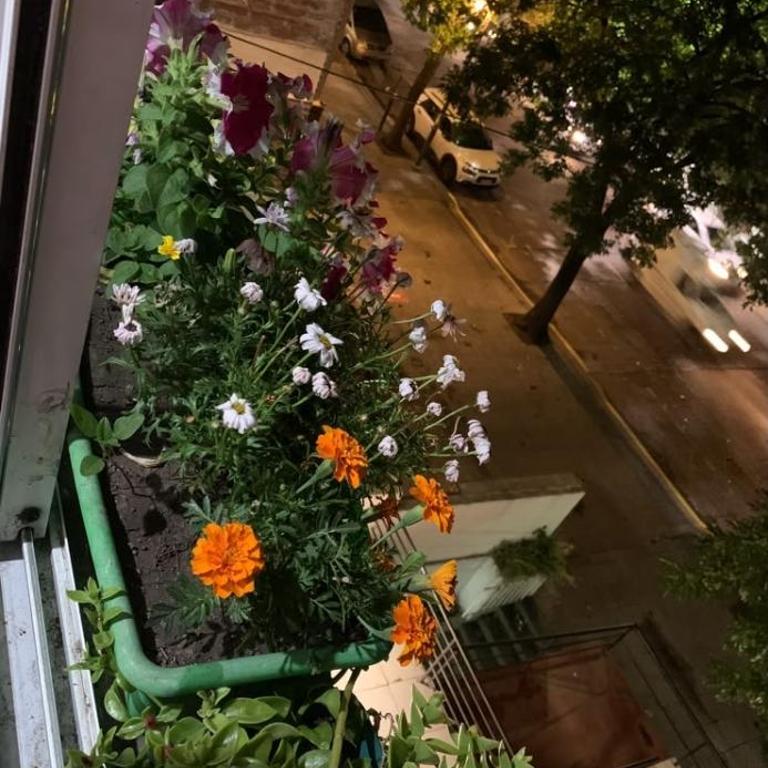Departamento en La Plata para 4 Personas - Apartamento de 2 dormitorios - 2