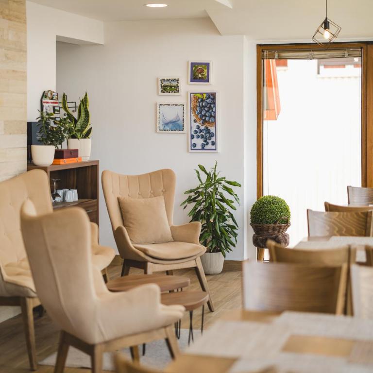 Borovnica Sweet Apartments - Apartman sa 1 Spavaćom Sobom - 4