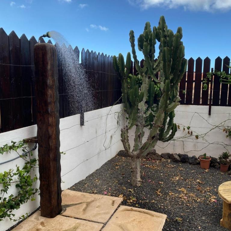 Blue Wave House Corralejo - Double Room in shared Apartment - 24