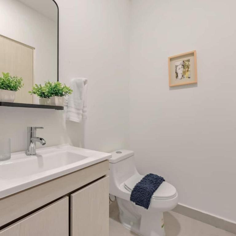 Arena Calzada Apartments - Apartamento de 2 dormitorios - 16