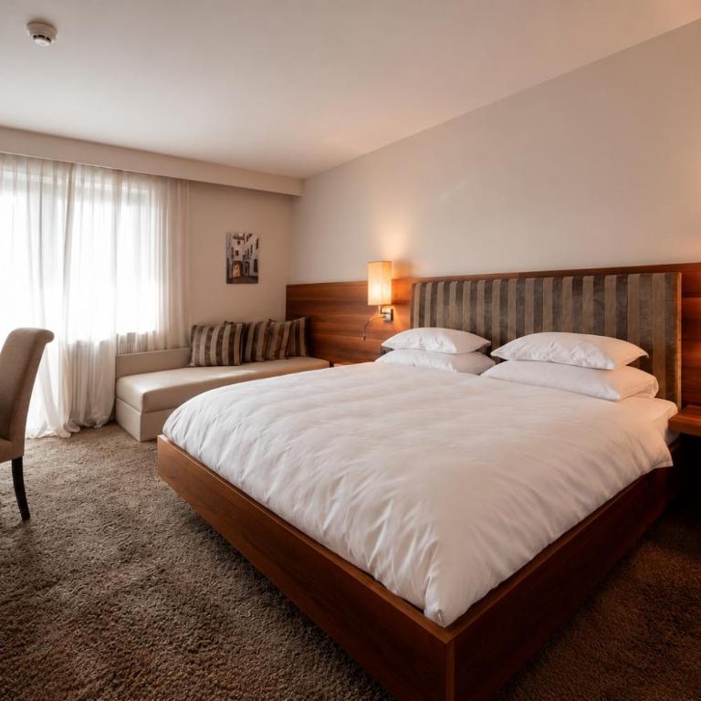 Hotel Pollinger - Habitación Doble Estándar con balcón - 1 o 2 camas - 7