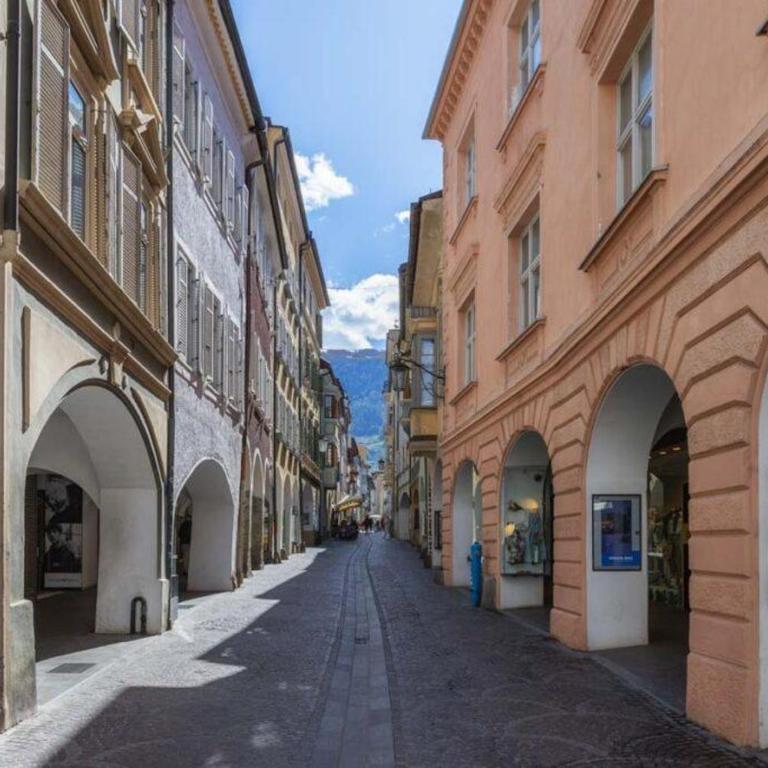 Panorama Apartment Merano - Apartamento de 1 dormitorio - 19