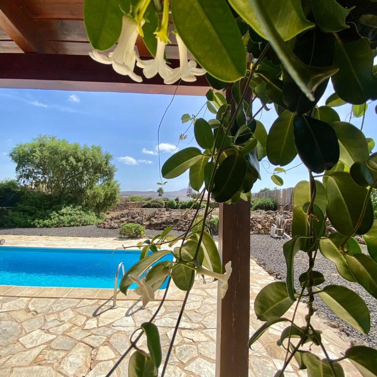 Villa en zona tranquila de Lajares VISTA CALMA - Haus mit 3 Schlafzimmern - 4