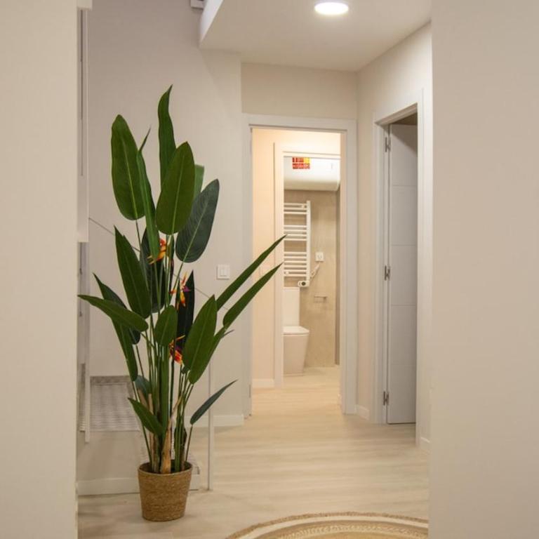 Coliving Almansa 91 - Habitación Doble - 20