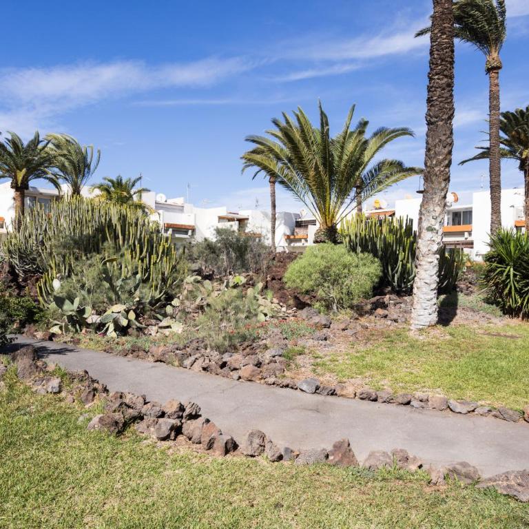 ALMA LIBRE Mar y piscina - One-Bedroom Apartment with Terrace - 21