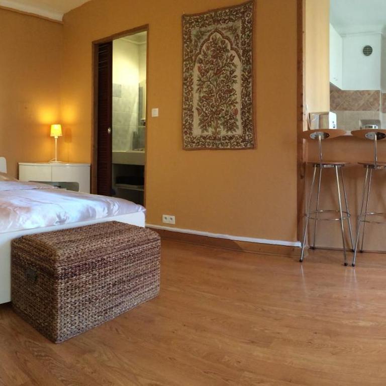 36 M2 between Presqu'île and university - Apartment - 8