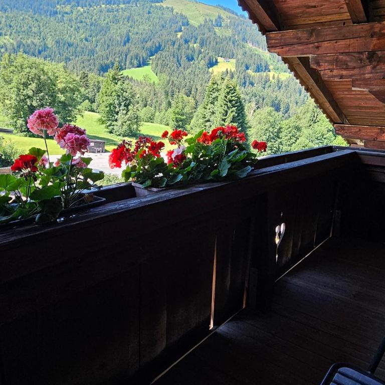 Frühstückspension Schönblick - Apartment mit Dusche - 8