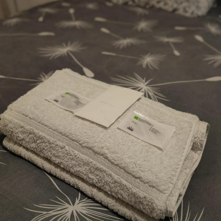 Zemunco free parking - Appartement 1 Chambre - 3
