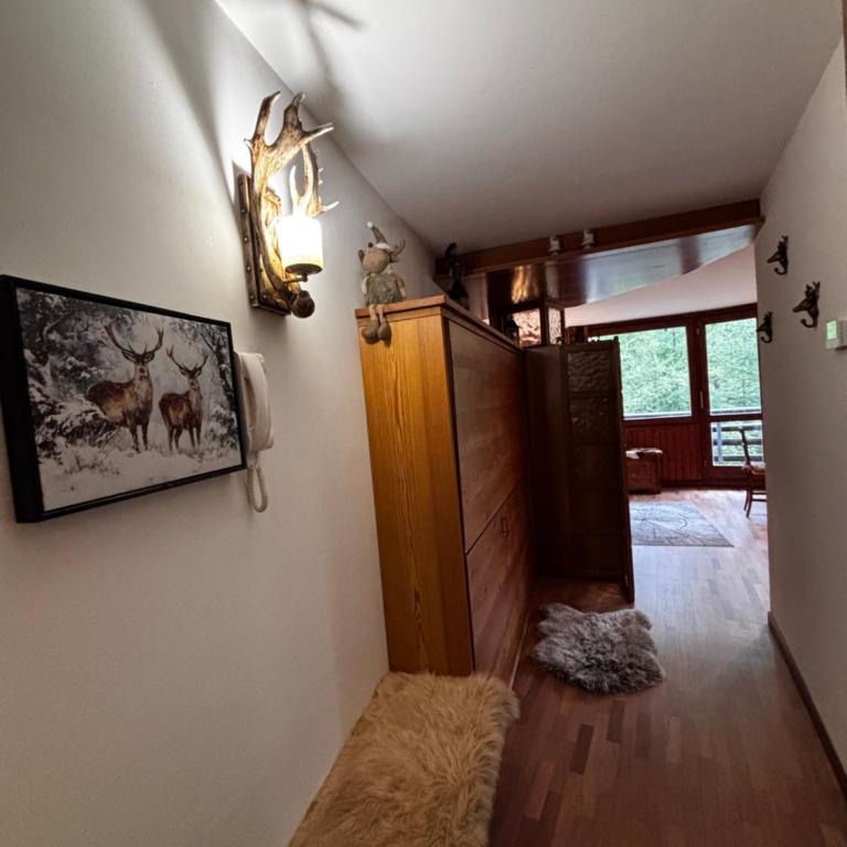 La casa sul bosco - Appartamento Monolocale - 37