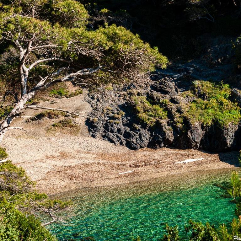 Villa La Cali - Sea and Mountain Pleasure - Villa - 72