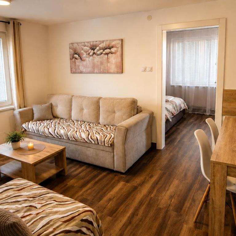 Apartman Biljana - Apartman sa 1 Spavaćom Sobom - 2