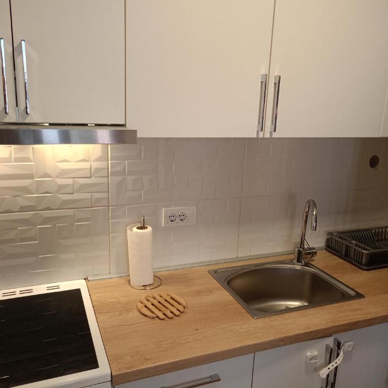 Centar Vracar - Apartment mit 1 Schlafzimmer - 8
