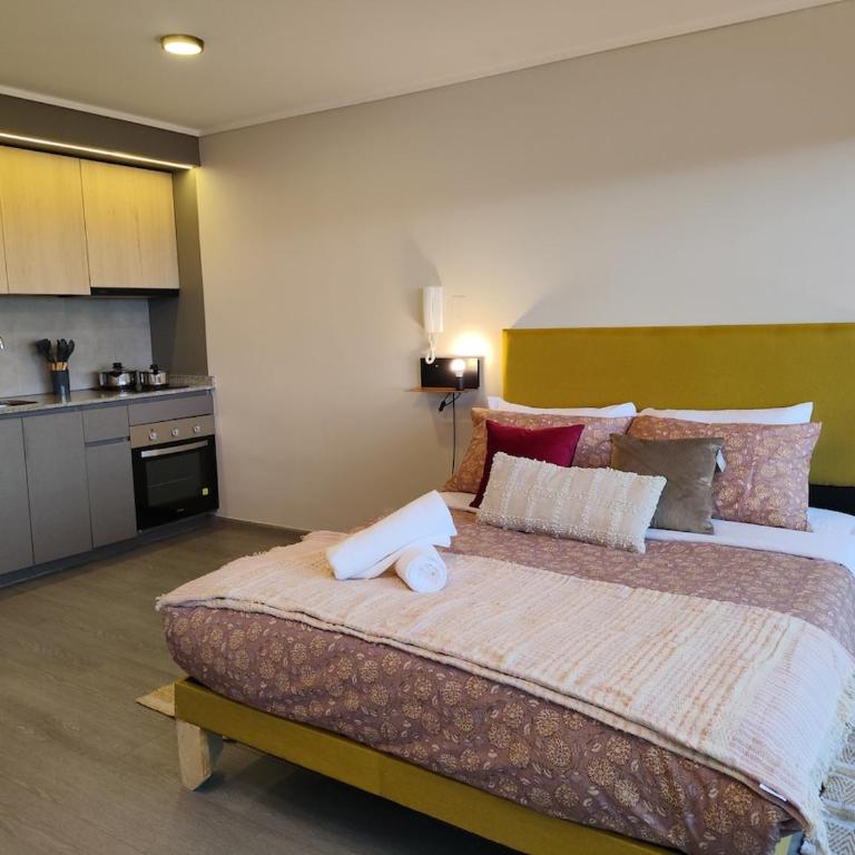 Nuevo Departmento muy cerca del Santander Arena, Parque Ohiggins, club Hipico, con estacionamiento gratis, para 2 D505 - One-Bedroom Apartment - 13