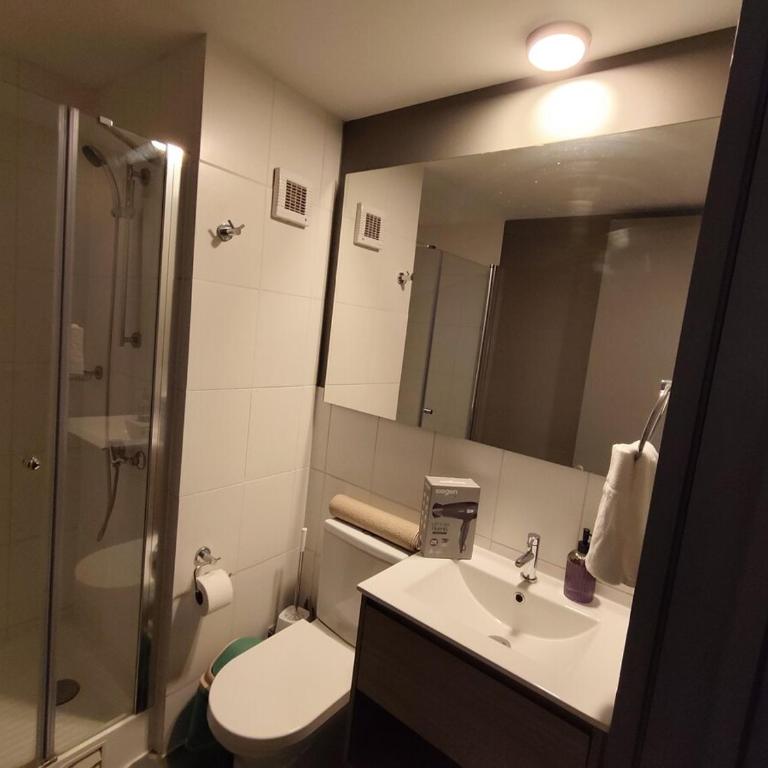 Nuevo Departmento muy cerca del Santander Arena, Parque Ohiggins, club Hipico, con estacionamiento gratis, para 2 D505 - One-Bedroom Apartment - 24
