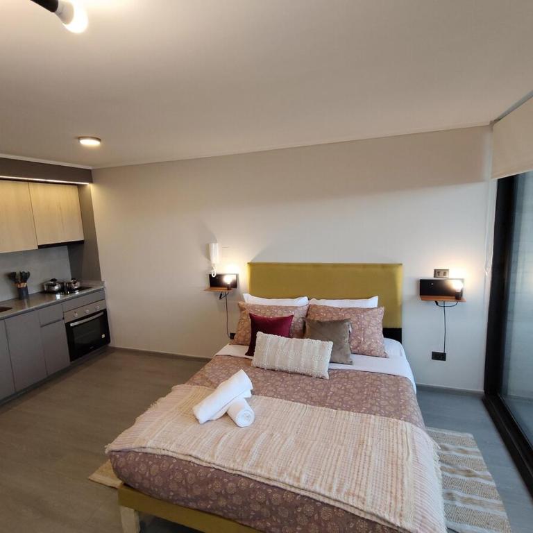 Nuevo Departmento muy cerca del Santander Arena, Parque Ohiggins, club Hipico, con estacionamiento gratis, para 2 D505 - One-Bedroom Apartment - 29